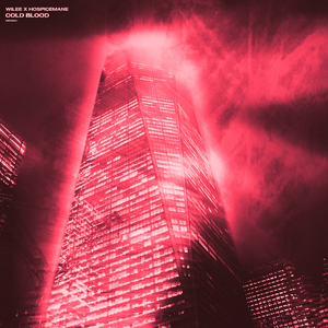 风间申美与子息777
